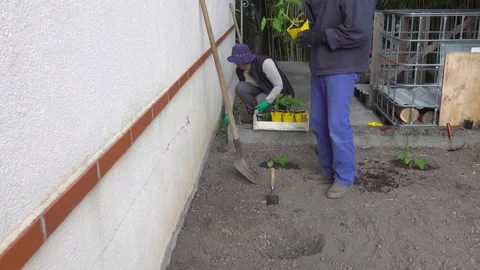 Joint work of a married couple on a personal plot. Elderly people are discuss Vídeos de archivo 153768908