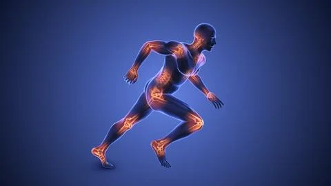 Joints in the human body Illustration