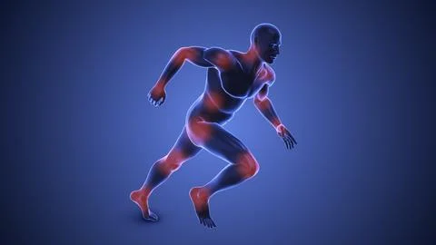 Joints in the human body Ilustração Stock