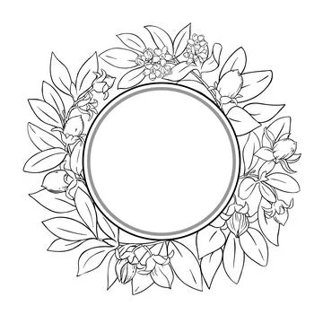 Jojoba Branch Outline Round Frame. Stock Illustration