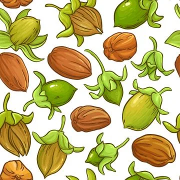 Jojoba vector pattern Stock Illustration