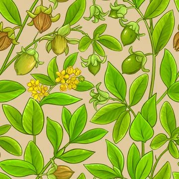 Jojoba vector pattern Stock Illustration