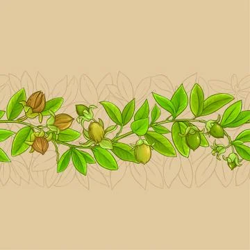 Jojoba vector pattern Stock Illustration