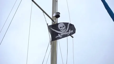 Jolly Roger flag Stock Footage 132666728