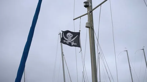 Jolly Roger flag Stock Footage 132666765