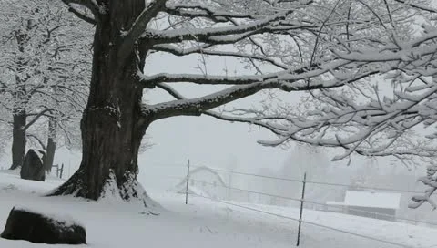 Jones' barn Stock Footage 10810269