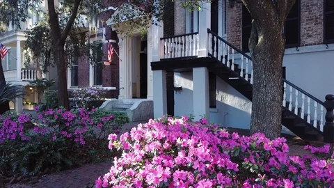 Jones Street in Spring Vídeo Stock 87231451
