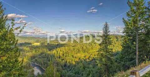 Jonsrud forest and Sandy river viewpoint Oregon state. Stock Photos