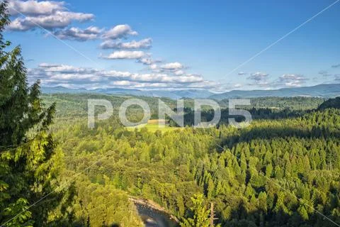 Jonsrud forest and Sandy river viewpoint Oregon state. Stock Photos