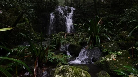 Joolbahla Falls on Albert River Circuit, Lamington NP, Cinematic Waterfall Scene Stock Footage 283834232