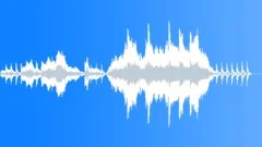Joplins's CurseStock Music