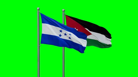 Jordan and Honduras two flags Stock Footage 293209025
