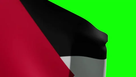 Jordan Flag Close Видео 136123052