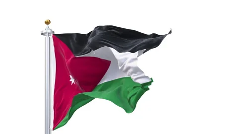 Jordan flag waving looping with transparent background. Stock Footage 317821096