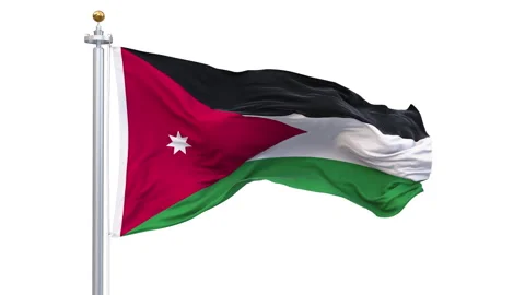 Jordan flag waving looping with transparent background. Video stock 317822918