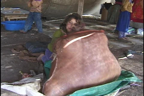 Jordan: Girl processes milk Stock Footage