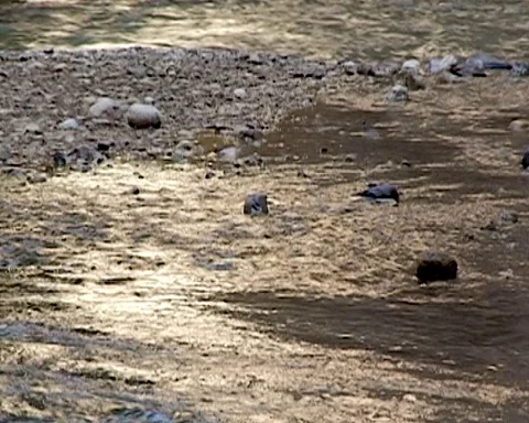 Jordan. Mujib River canyon of Wadi Mujib is lowest nature reserve in the world Stock Footage 126957870