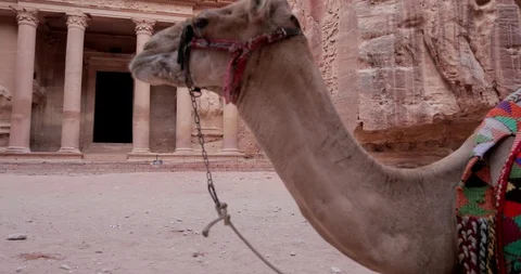 Jordan Petra Facade Of The Treasury Building The Ancient Nabatean Stock Footage 100324652