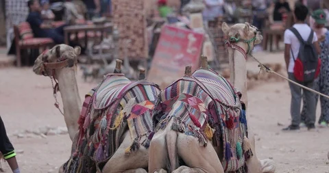 Jordan Petra Facade Of The Treasury Building The Ancient Nabatean Stock Footage 100325902