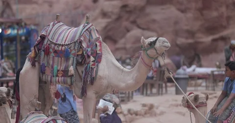 Jordan Petra Facade Of The Treasury Building The Ancient Nabatean Stock Footage 100325934
