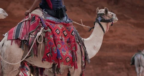 Jordan Petra Facade Of The Treasury Building The Ancient Nabatean Stock Footage 100326062