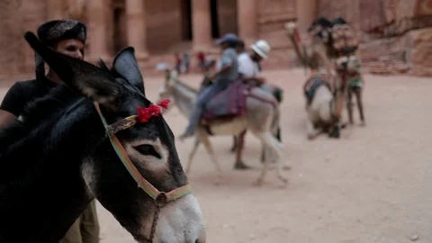 Jordan Petra Facade Of The Treasury Building The Ancient Nabatean Stock Footage 100330865
