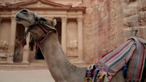 Jordan Petra Facade Of The Treasury Building The Ancient Nabatean Stock Footage 100331660