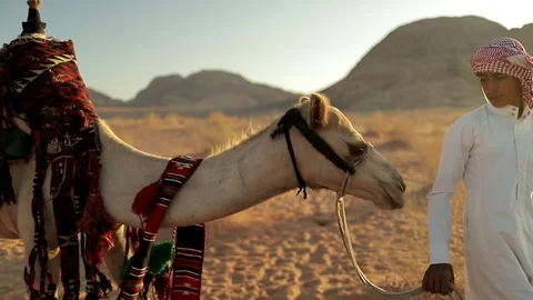 Jordan Petra Facade Of The Treasury Building The Ancient Nabatean Stock Footage 100332333