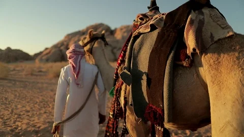 Jordan Petra Facade Of The Treasury Building The Ancient Nabatean Stock Footage 100333027