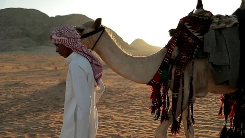 Jordan Petra Facade Of The Treasury Building The Ancient Nabatean Stock Footage 100333585