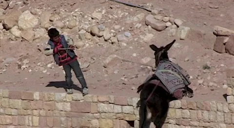 Jordan, Petra. Local boy pulls stubborn donkey by leash. Stock Footage 149476986