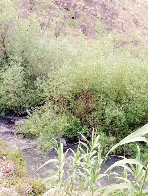 The Jordan River 動画素材 241607925