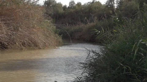 Jordan River Israel Stock Footage 37848316