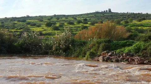 Jordan river in israel Stock Footage 74073715