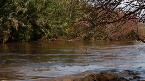 Jordan river in israel Stock Footage 74073729