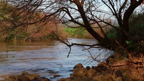Jordan river in israel Stock Footage 74073731