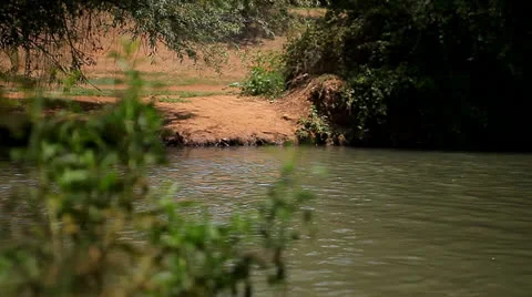 Jordan river in kfar blum.mp4 Stock Footage 27205282