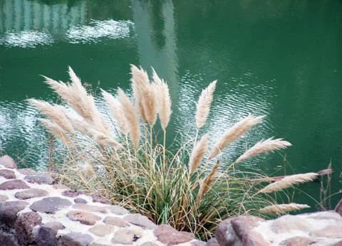 Jordan river Stock Photos