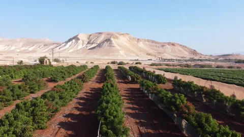 Jordan Valley Field Stock Footage 227709149