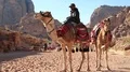 Jordanian on camel near Colonnade Street in Petra, Jordan HD Footage