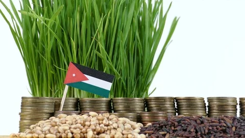 Jordanian flag with stack of money coins and piles of wheat and rice seeds Stock Footage 71947795