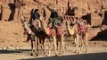 Jordanians on camels near Royal Tombs in Petra, Jordan HD Footage