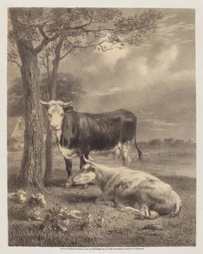 Joseph Foxcroft Cole, Cattle Ruminating, 1870 Cattle Ruminating Copyright:... Stock Photos
