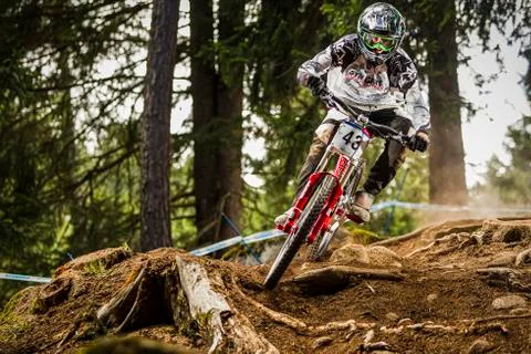 Josh Bryceland Stock Photos