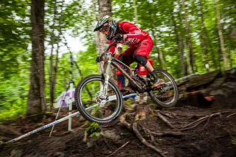 Josh Bryceland Stock Photos