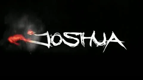 Joshua Stock Footage 11439280