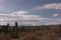 Joshua Tree 04 Motion Control Time Lapse Tilt Up 3x Footage