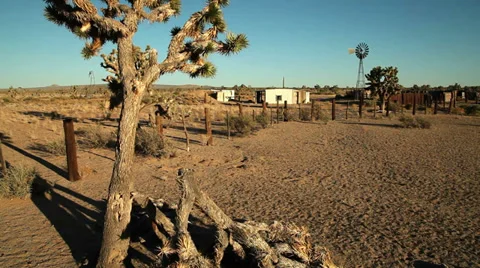 Joshua tree abandoned adobe ranch ghost town Stock Footage 33916482