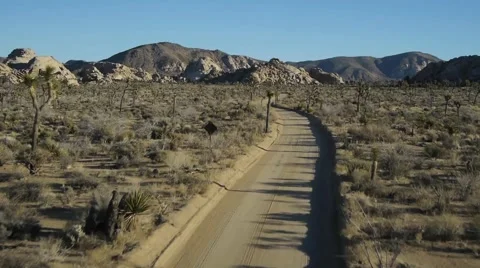 Joshua Tree Aerial.3 Stock Footage 40569770