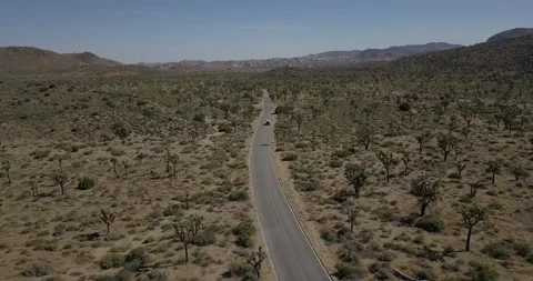 Joshua Tree, Arial drone footage 4K Video stock 166239495